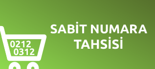 Sabit Numara Tahsisi